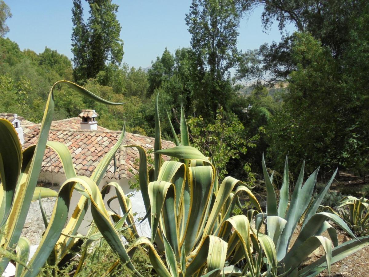 El Pastor Villa Grazalema Ngoại thất bức ảnh